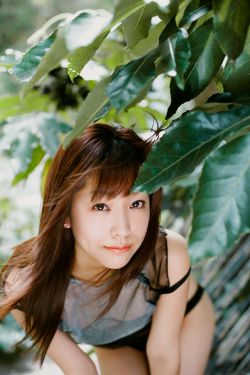 暴躁老阿姨CSGO中